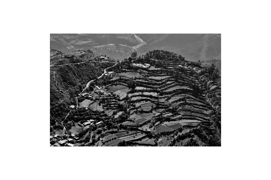 Steps of Prosperity: Uttarakhand's Terrace Farming