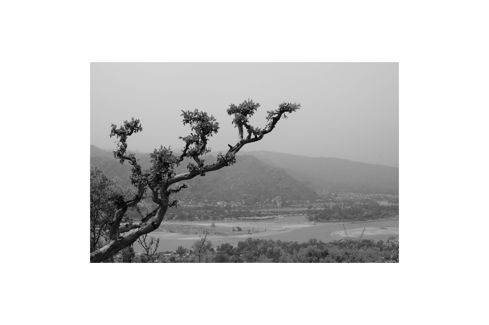 Serene Shores: The Charm of River Banks