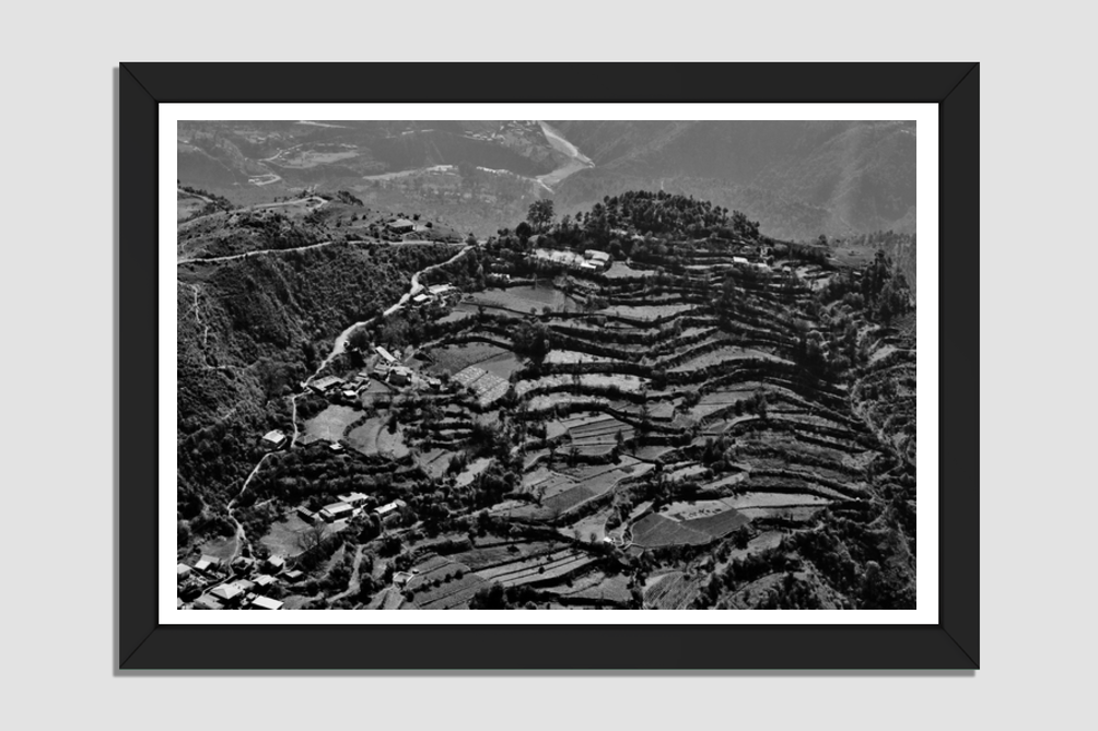 Steps of Prosperity: Uttarakhand's Terrace Farming