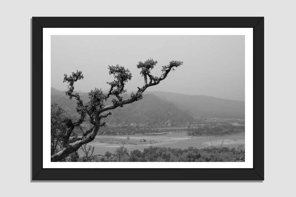 Serene Shores: The Charm of River Banks
