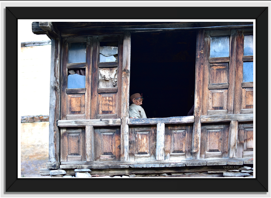 Timeless Insights: The Wisdom of a Life Lived