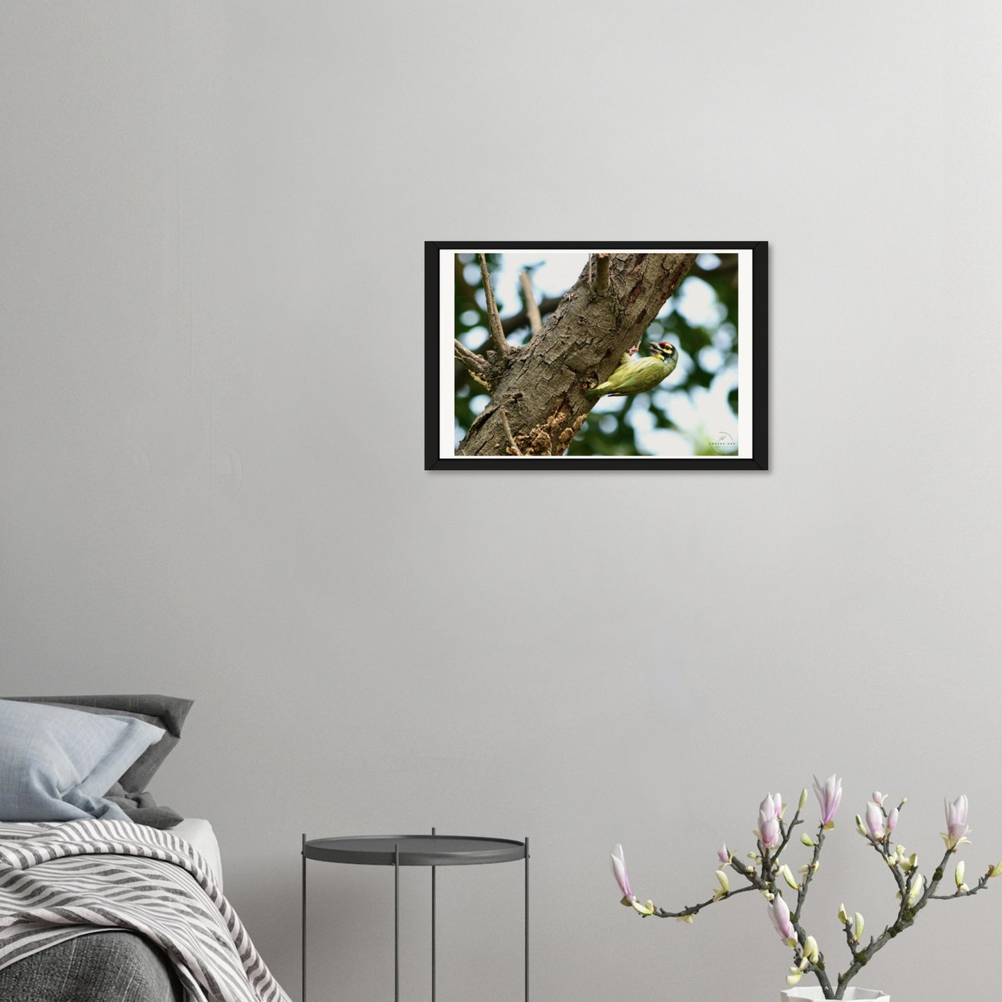 The Metallic Marvel: Coppersmith Barbet