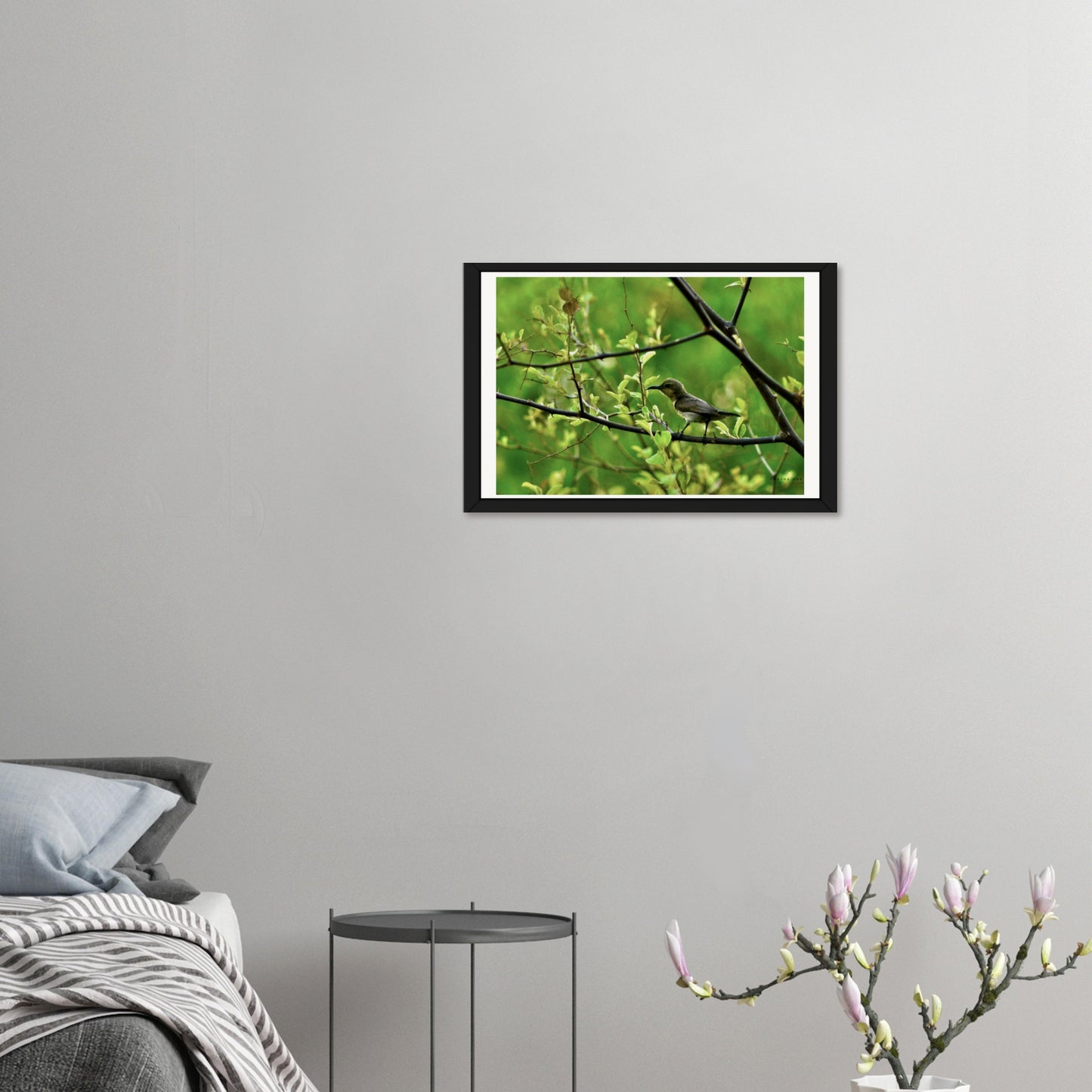 Iridescent Jewel: The Sunbird