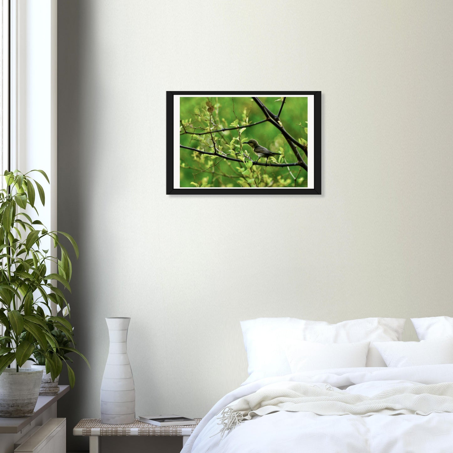 Iridescent Jewel: The Sunbird
