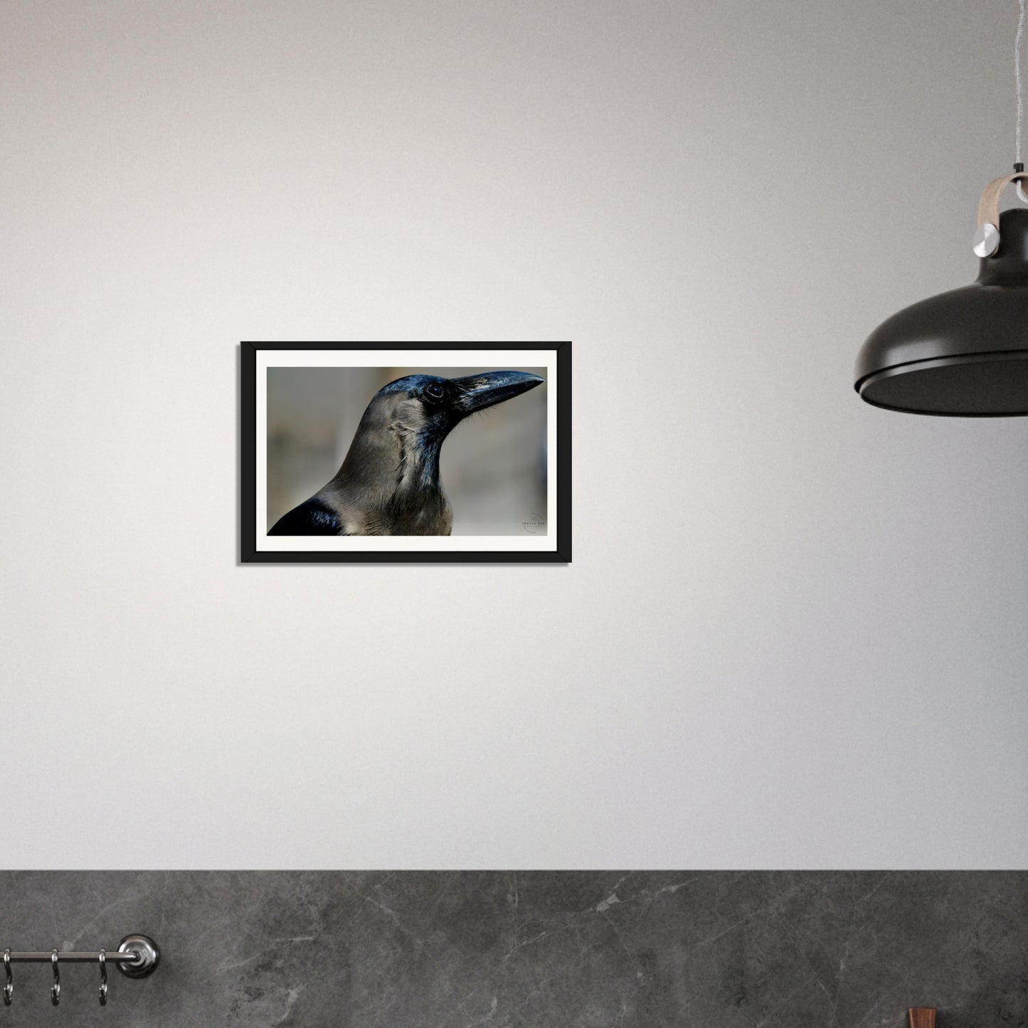 Corvid Contemplation: Wisdom in Black and White
