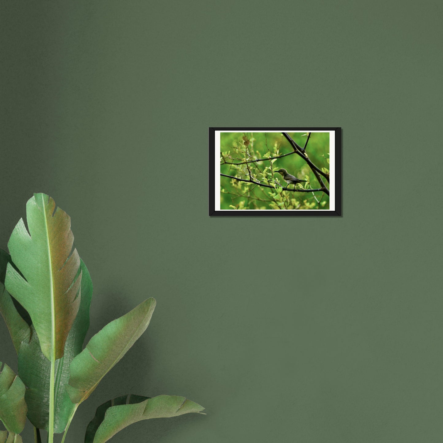 Iridescent Jewel: The Sunbird