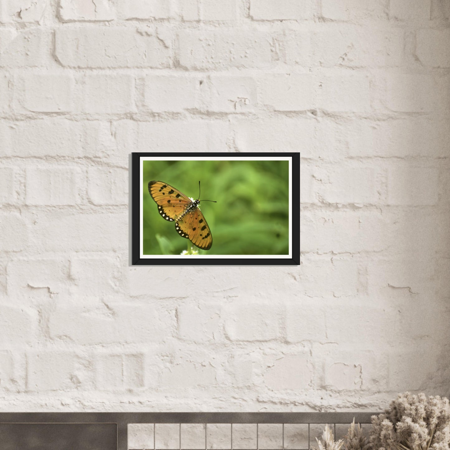 Golden Wings: Nature's Delicate Masterpiece