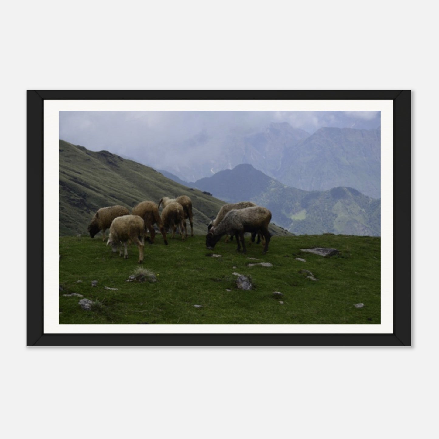 Tranquil Heights: A Pastoral Symphony