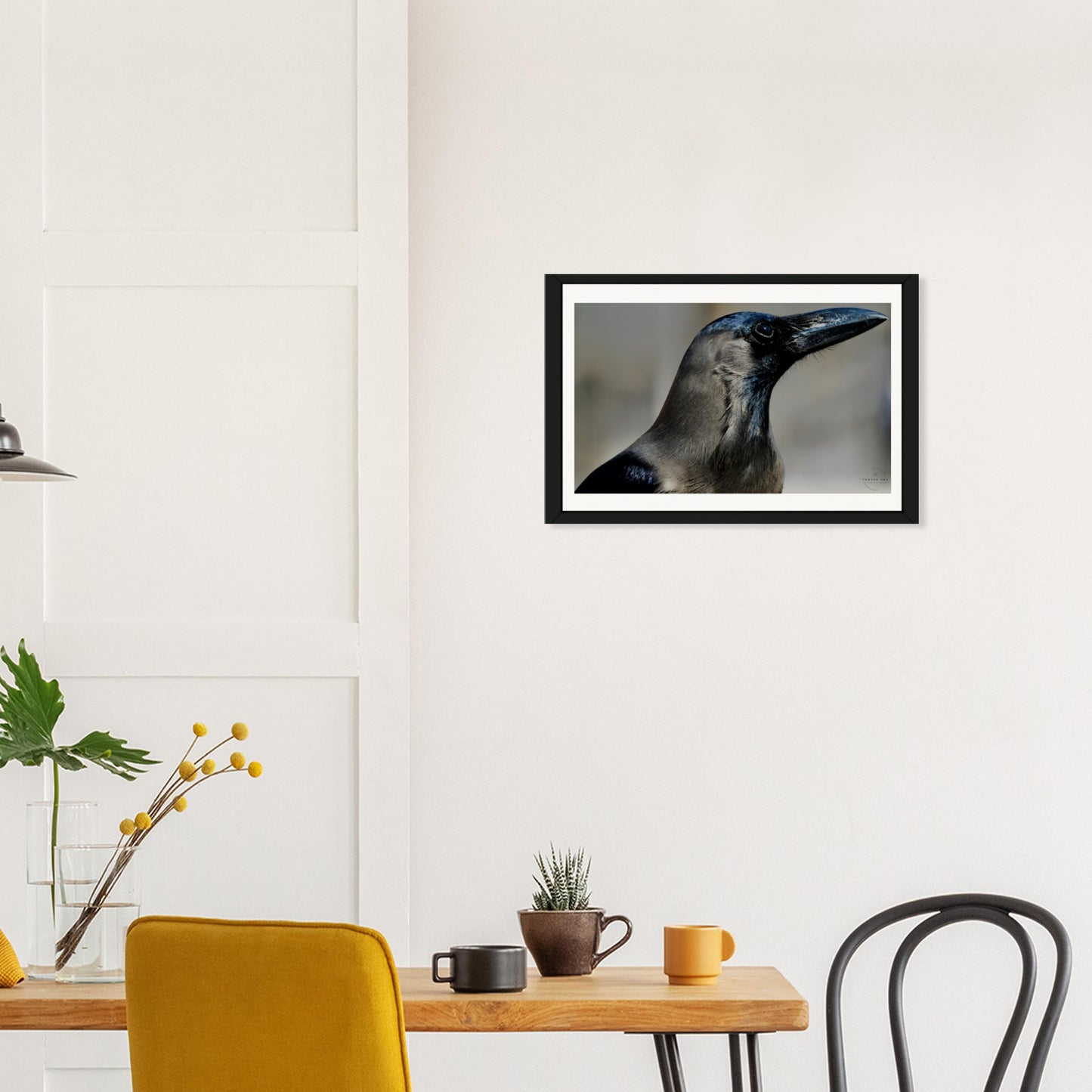 Corvid Contemplation: Wisdom in Black and White