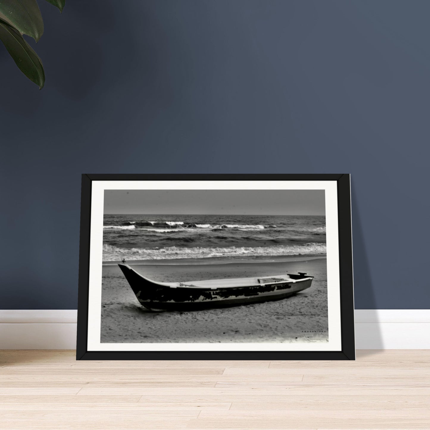 Shoreline Solitude: A Monochrome Meditation
