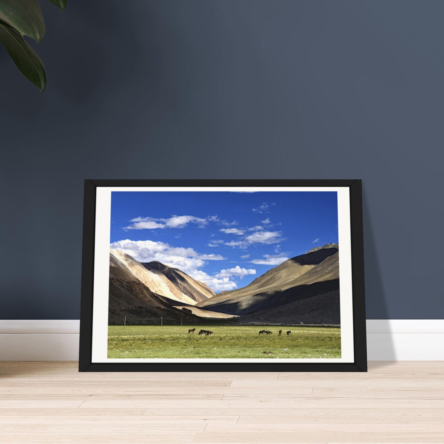 Emerald Heights: Ladakh's Alpine Tapestry