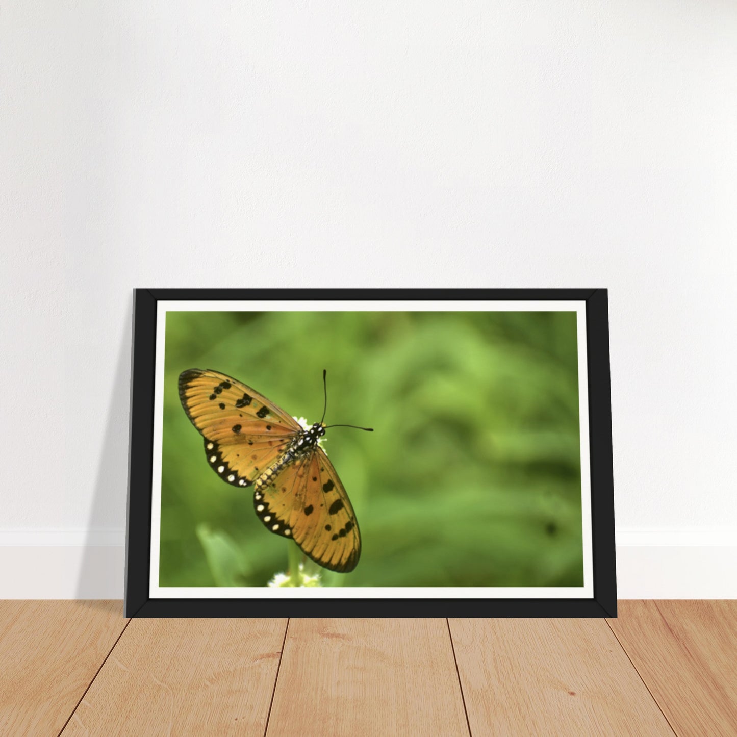 Golden Wings: Nature's Delicate Masterpiece