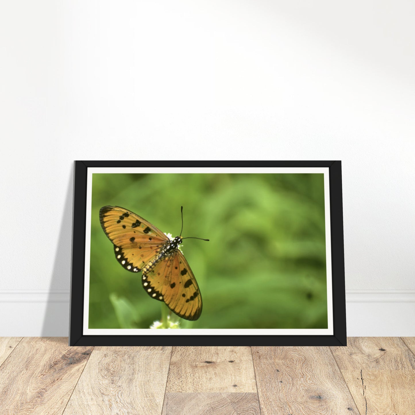 Golden Wings: Nature's Delicate Masterpiece