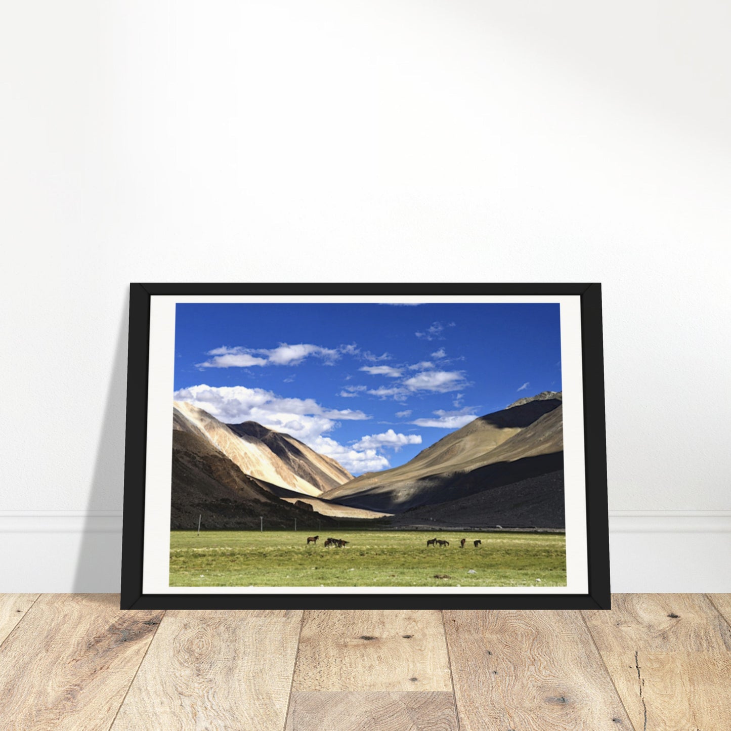 Emerald Heights: Ladakh's Alpine Tapestry