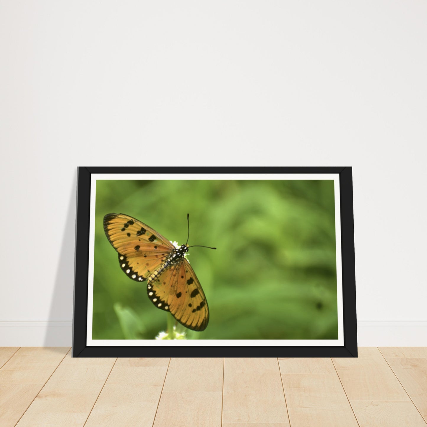 Golden Wings: Nature's Delicate Masterpiece