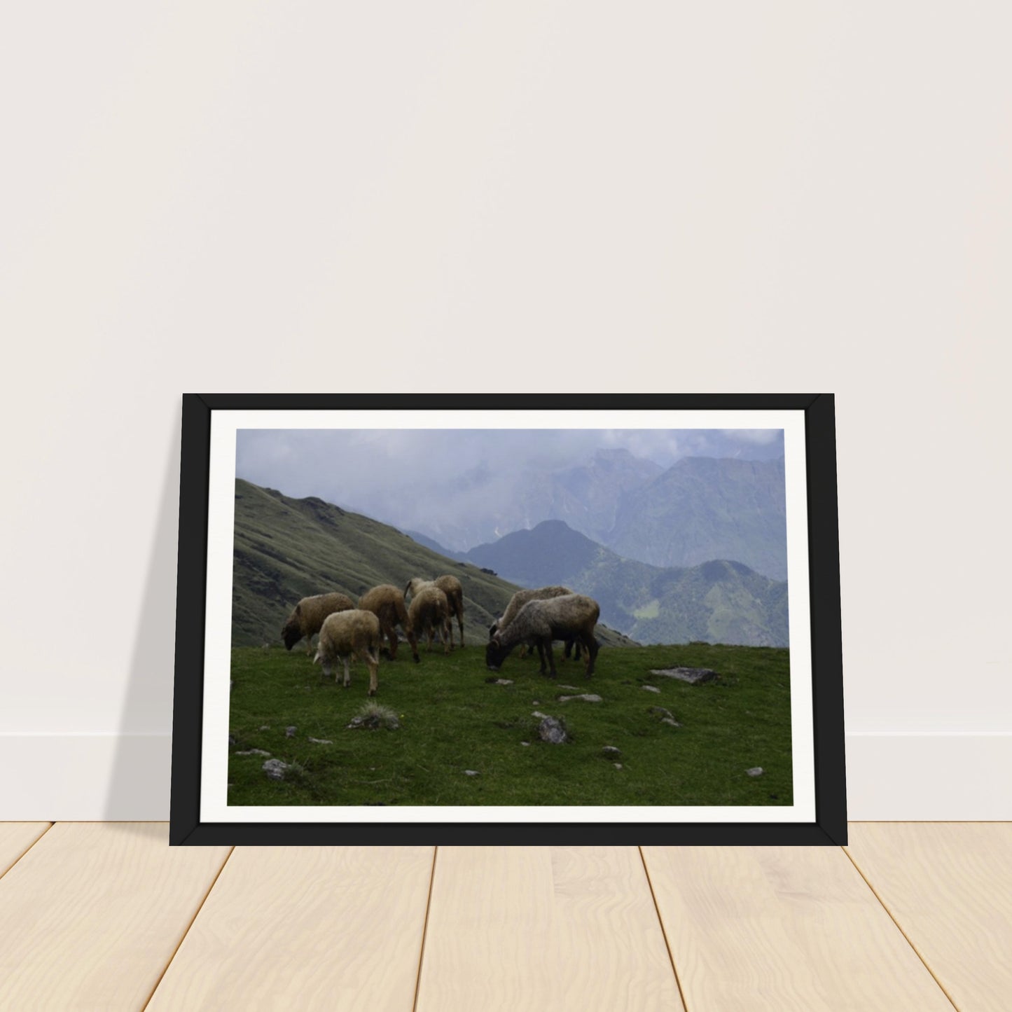 Tranquil Heights: A Pastoral Symphony