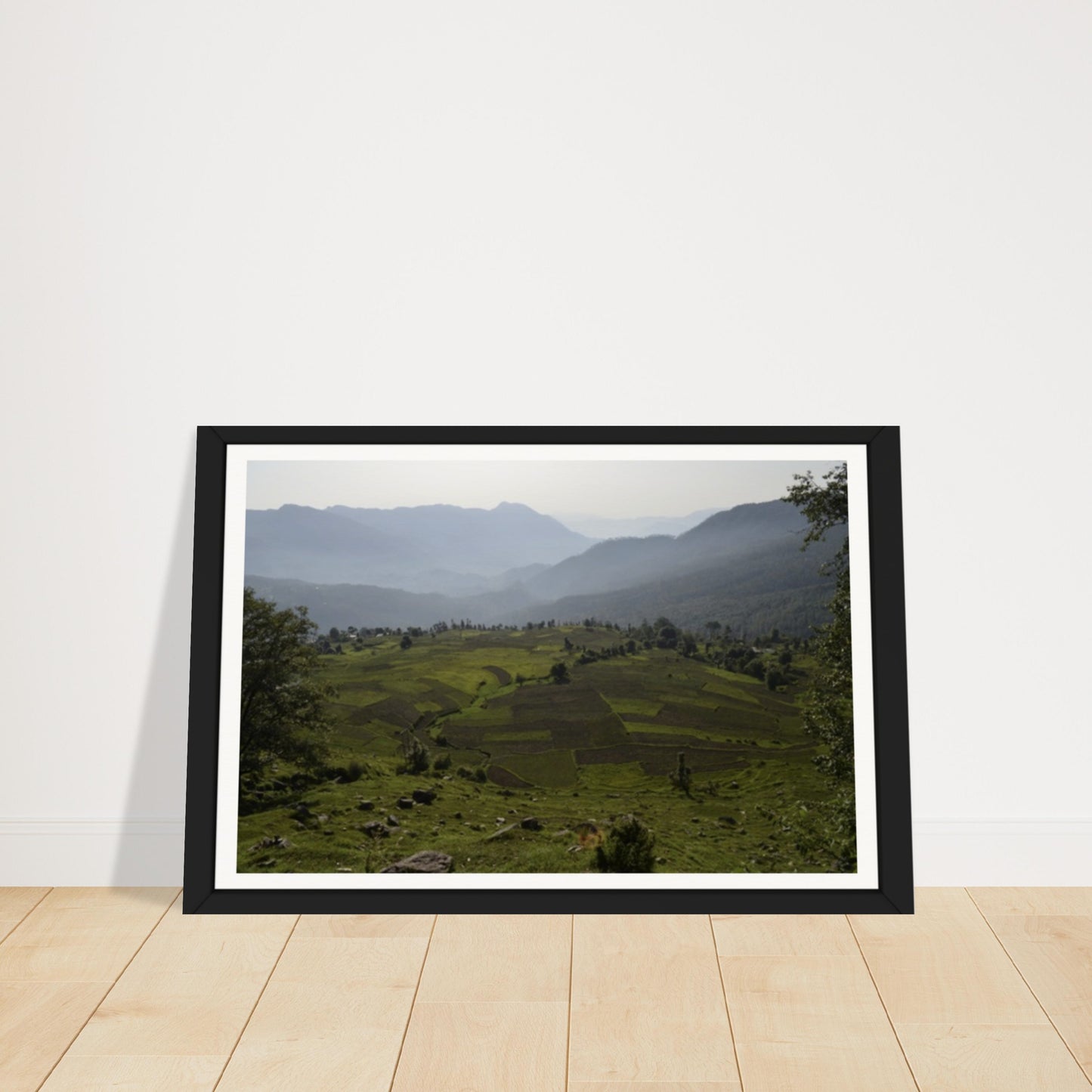 Mountain Mosaic: Terraced Fields and Misty Peaks