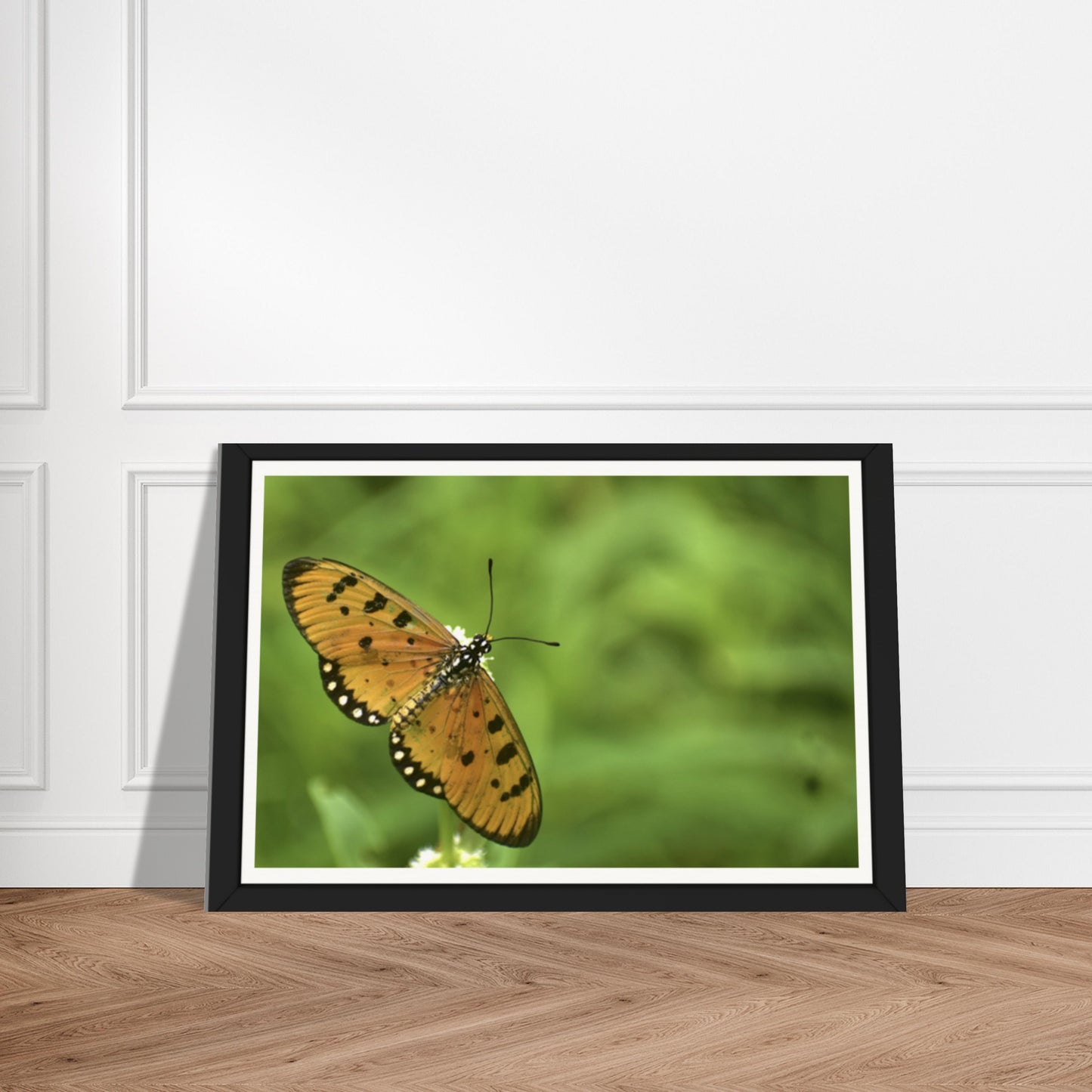 Golden Wings: Nature's Delicate Masterpiece