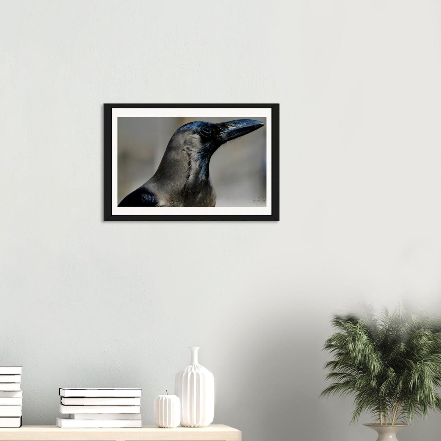 Corvid Contemplation: Wisdom in Black and White