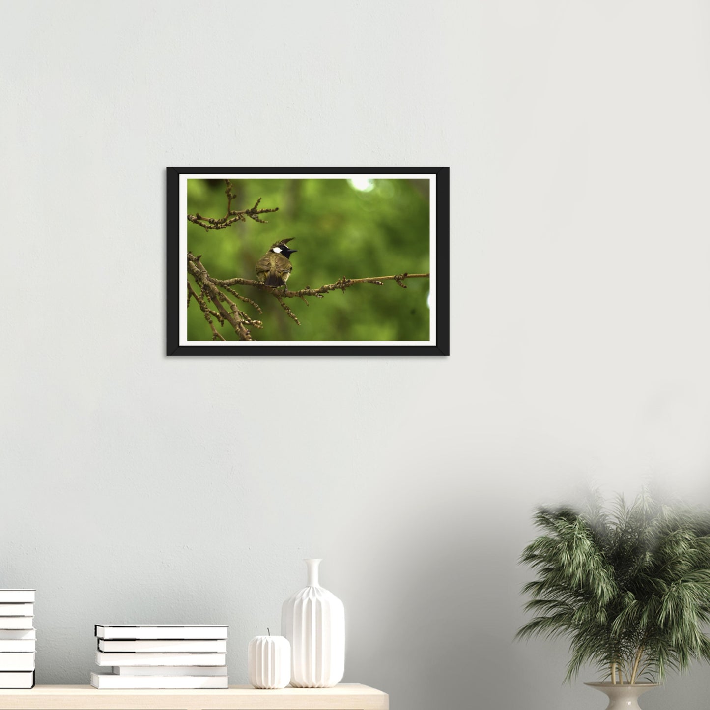 Mountain Melody: The Charming Himalayan Bulbul