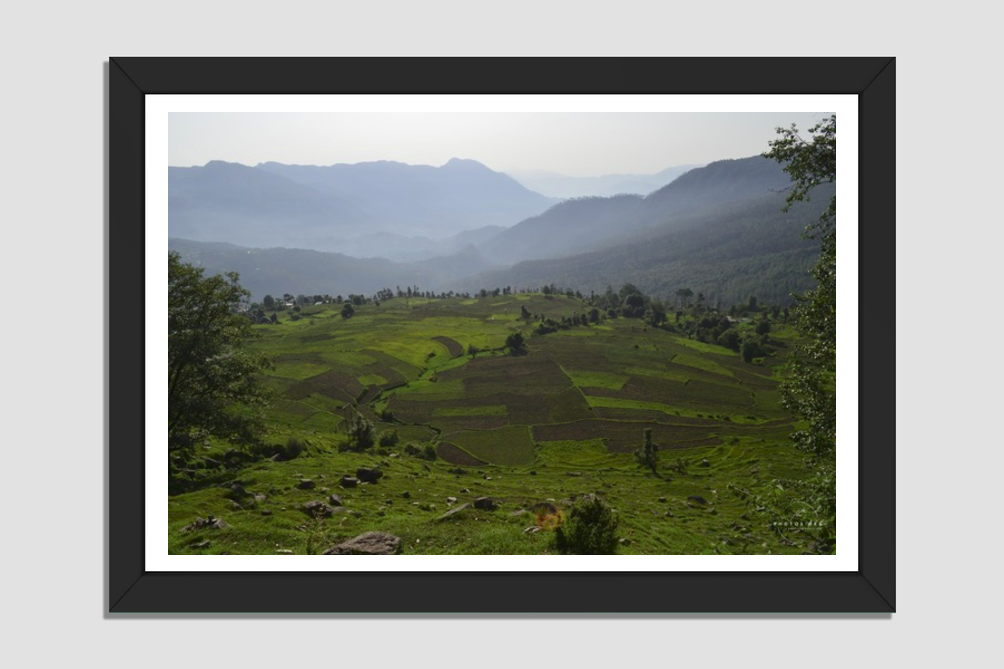 Mountain Mosaic: Terraced Fields and Misty Peaks