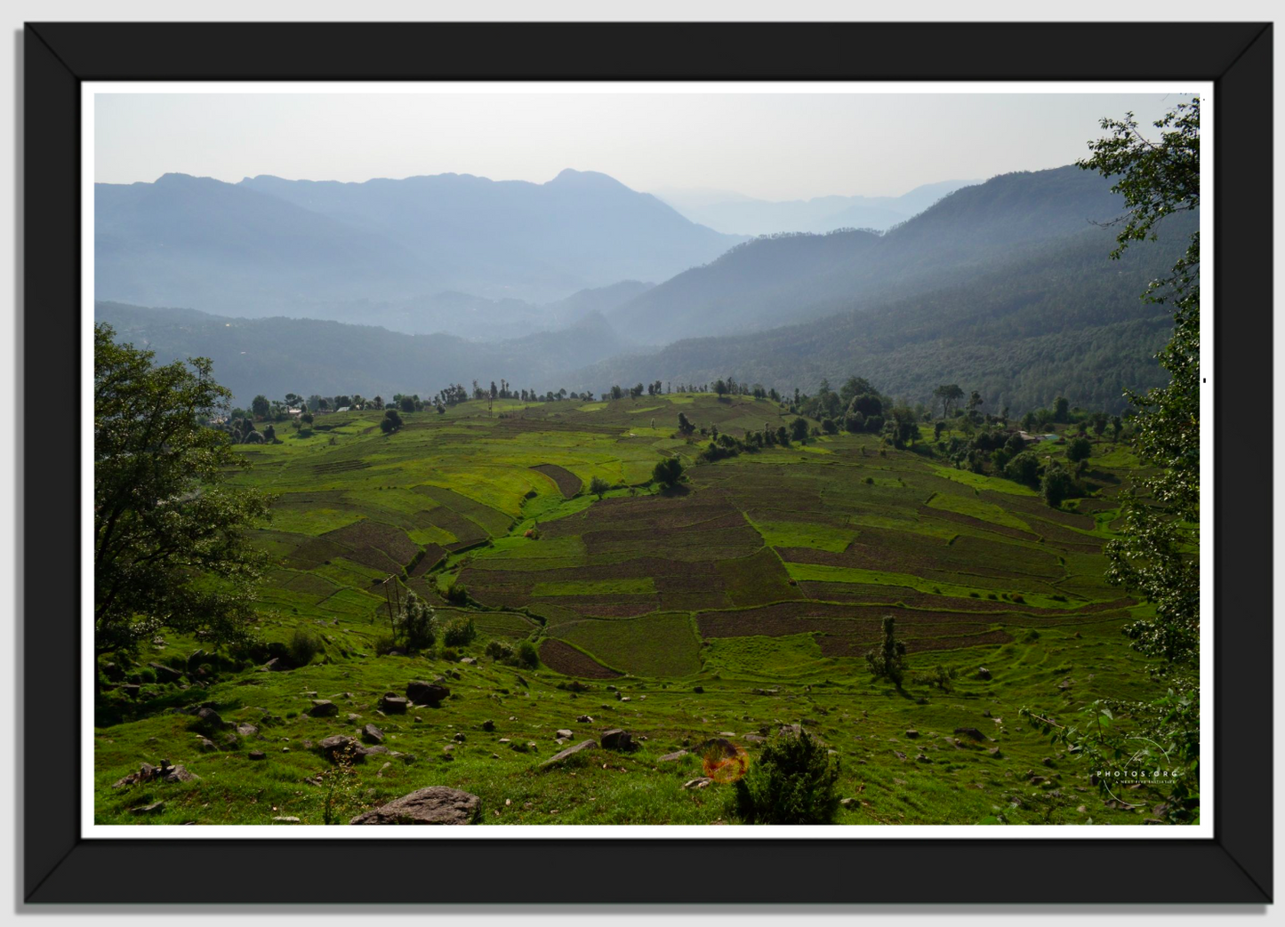 Mountain Mosaic: Terraced Fields and Misty Peaks