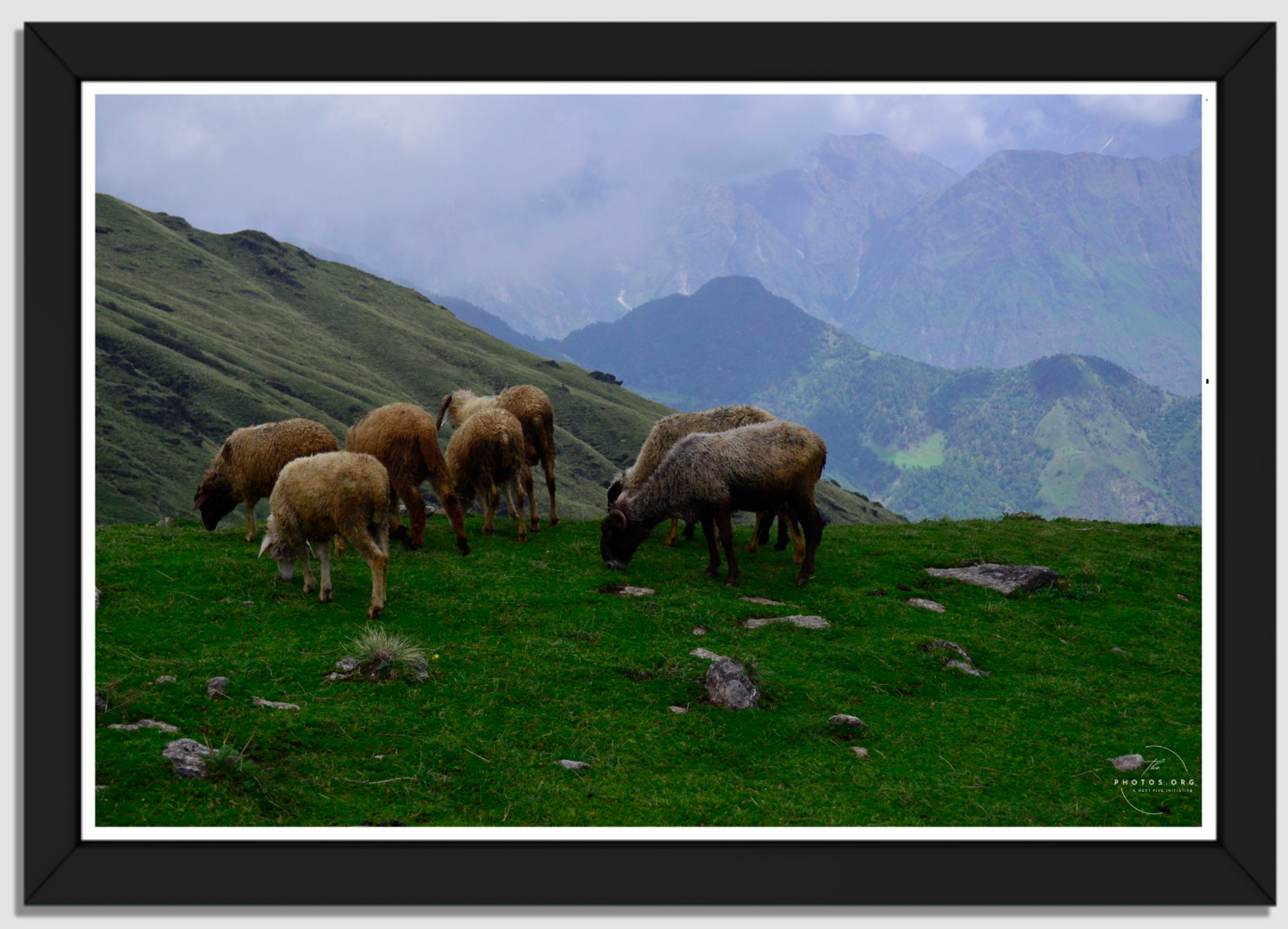 Tranquil Heights: A Pastoral Symphony