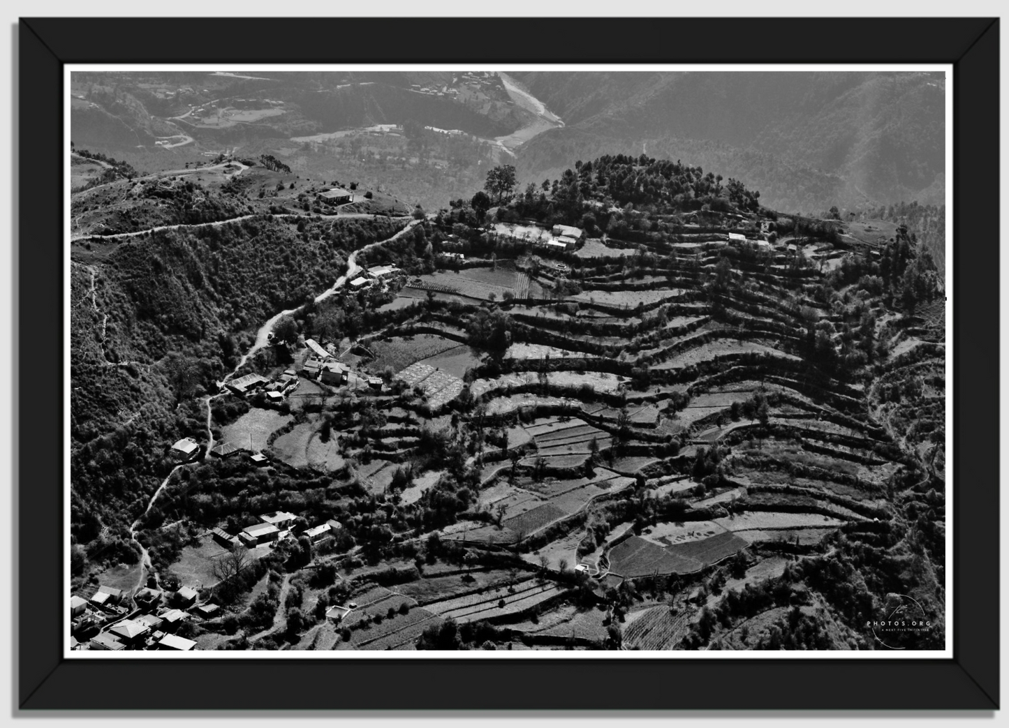 Steps of Prosperity: Uttarakhand's Terrace Farming
