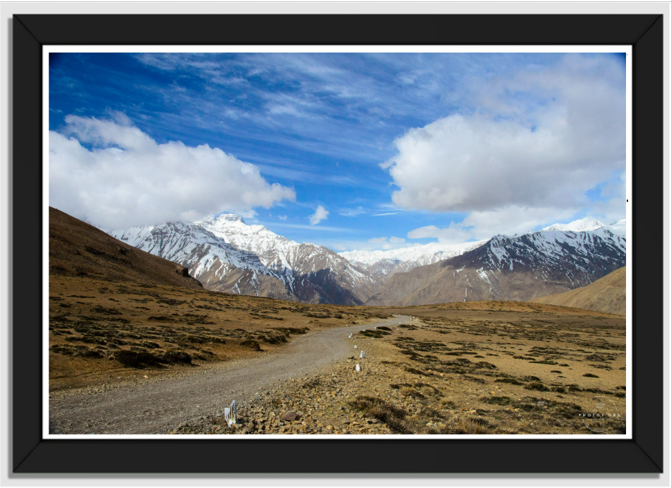 The Unforgiving Dirt Road